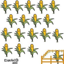 Corn - segregated